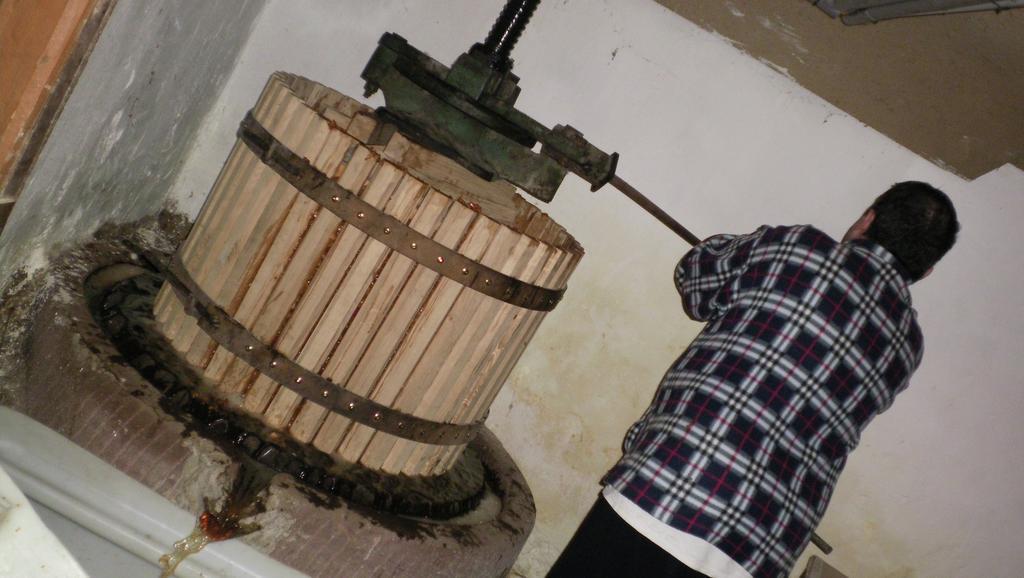 Chez Salome Et Fritz Villa Ingolsheim Luaran gambar