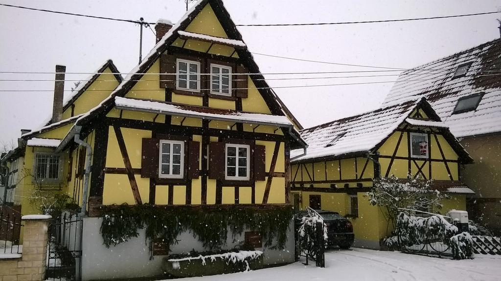Chez Salome Et Fritz Villa Ingolsheim Luaran gambar