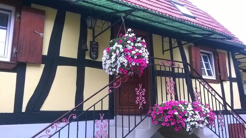 Chez Salome Et Fritz Villa Ingolsheim Luaran gambar