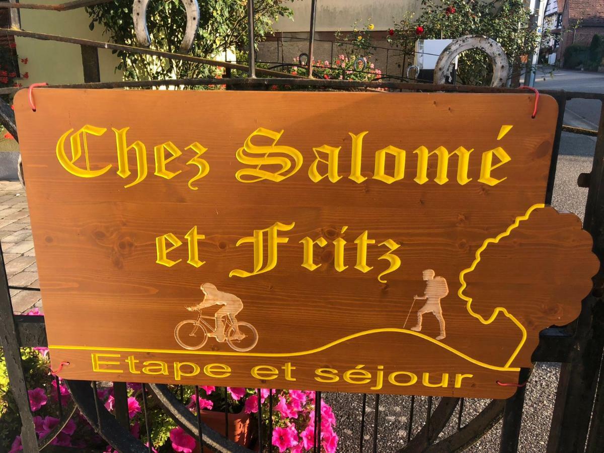 Chez Salome Et Fritz Villa Ingolsheim Luaran gambar